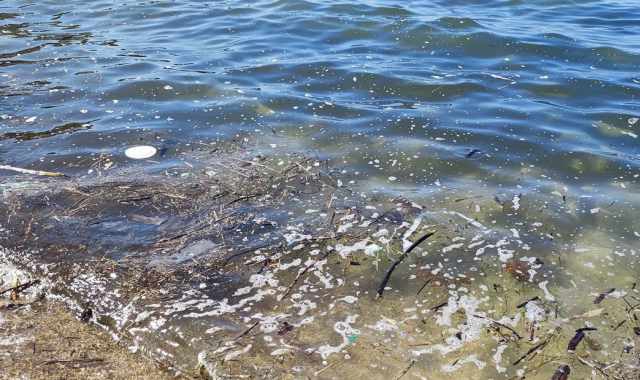 Schiuma, bolle e rifiuti: il mare barese, d'estate, si sporca sempre. Ecco il motivo